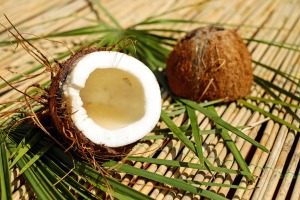 coconut-1501334_1920